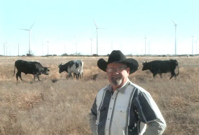 Original Cattle